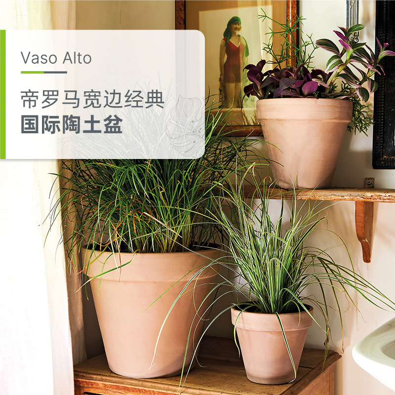 帝罗马deroma陶盆国际盆红陶透气组合多肉月季花兰花盆陶土盆网红