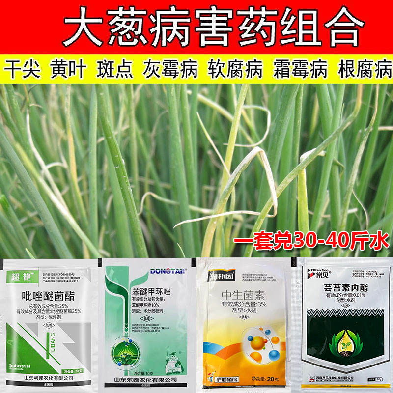 大葱专用药白斑病霜霉病锈病黄叶病黑斑病干尖药紫斑病农药杀菌剂 - 图0