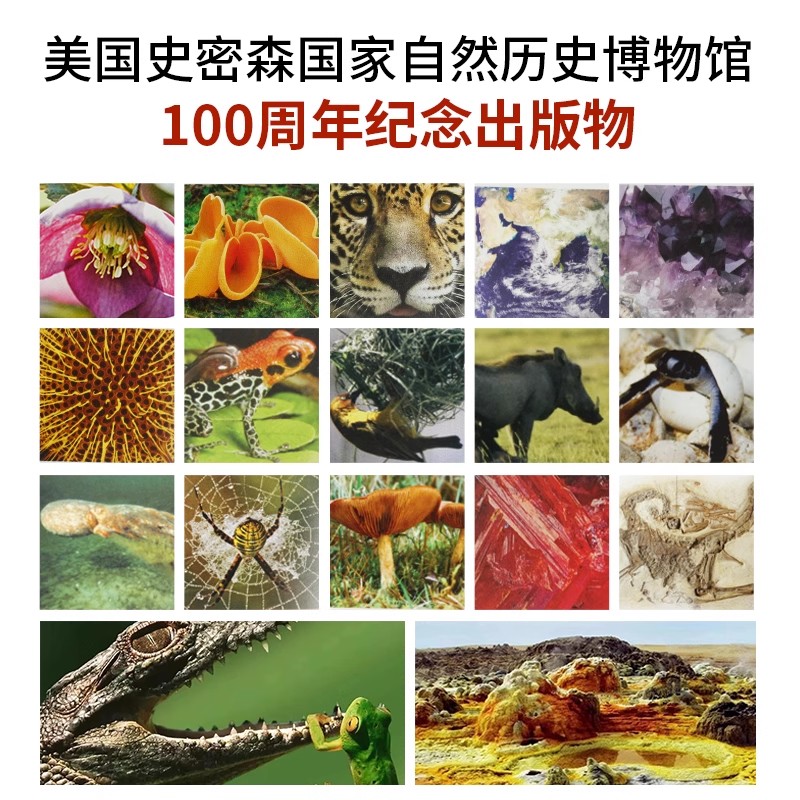 小达人点读点读版DK博物大百科幼儿百科全书儿童课外阅自然百科动物百科植物百科大全科普百科全书不含点读笔