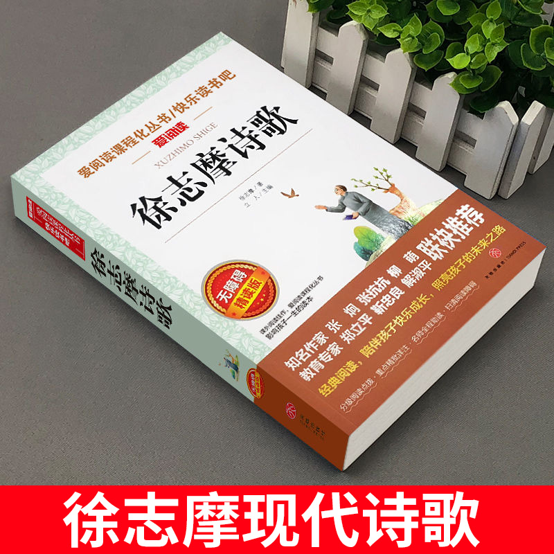 四年级下册现代诗歌冰心繁星春水艾青泰戈尔诗选徐志摩诗歌4四年级现代诗歌诗集名师导读带批注天地出版社人民教育出版社配套阅读 - 图3