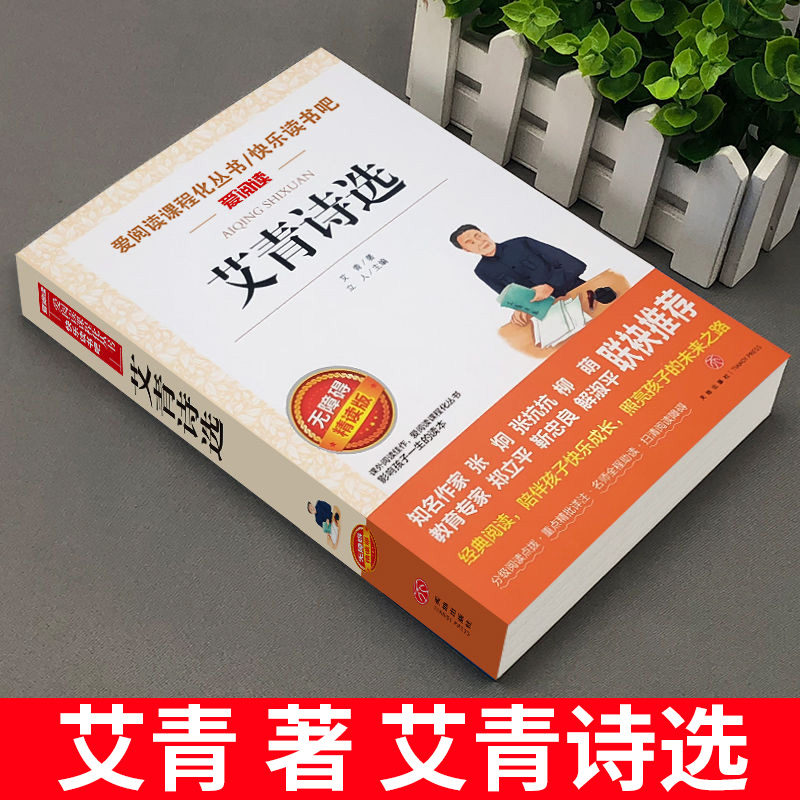 四年级下册现代诗歌冰心繁星春水艾青泰戈尔诗选徐志摩诗歌4四年级现代诗歌诗集名师导读带批注天地出版社人民教育出版社配套阅读 - 图1