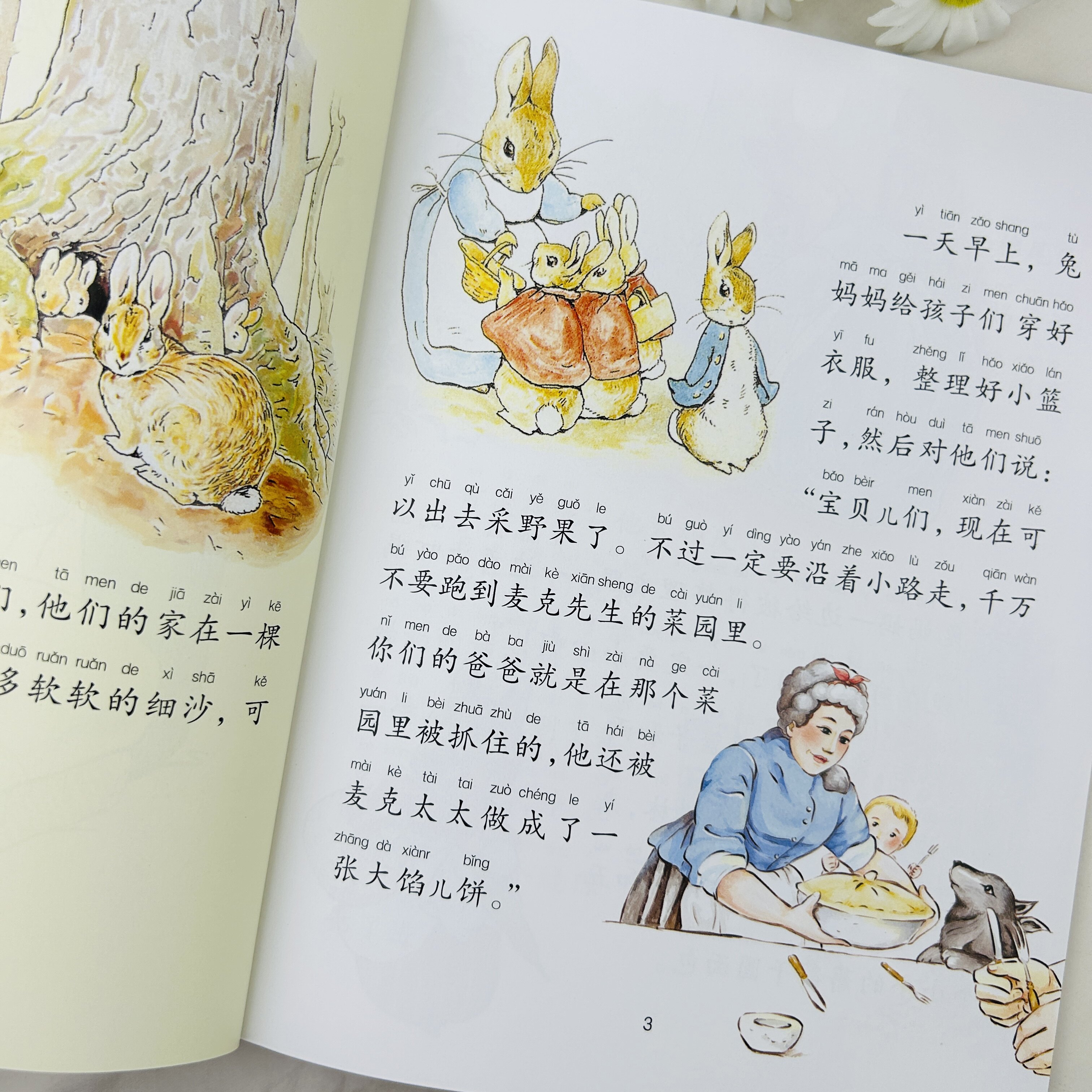 图5