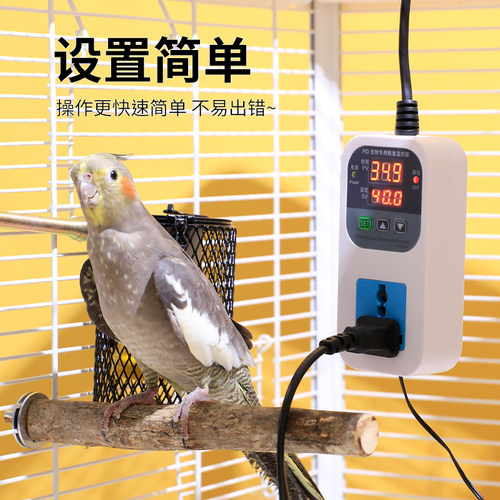 鹦鹉智能恒温温控器保温专用繁殖箱鸟类保暖控温用品取暖过冬神器 - 图3