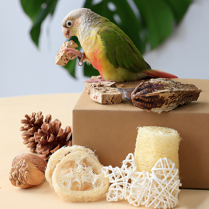 鹦鹉玩具解闷自嗨小太阳啃咬磨牙天然通草球玄凤牡丹专用鸟笼装饰,淘宝优惠券,粉丝福利购,淘宝优惠卷