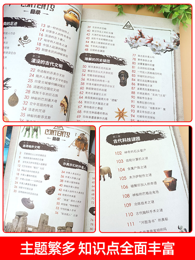 正版世界未解之谜大全集全套12册中小学生科普动物科学恐龙人类之谜中国未解之谜青少年版儿童版百科全书十万个为什么 - 图1