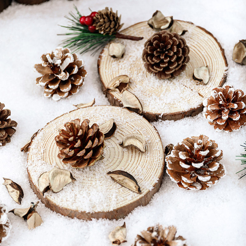 圣诞装饰品圣诞树装饰球小松果diy材料ins风场景布置创意摆件道具,淘宝优惠券,粉丝福利购,淘宝优惠卷