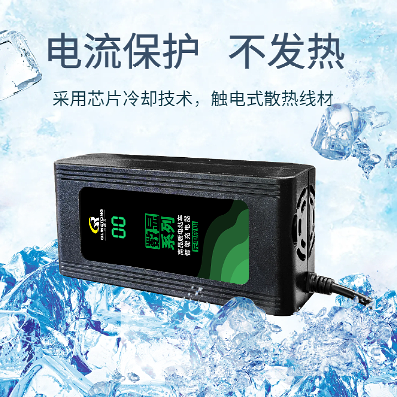 电动车充电器雅迪爱玛台铃小刀电瓶车电车通用60v20ah48v12ah72v