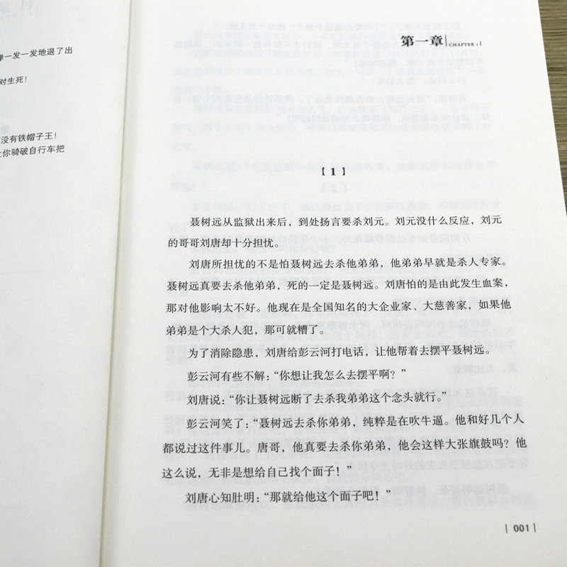 2册 国家行动+廉政 黄晓阳程琳著反腐刑侦官场小说人民的名义天局同类官场打黑反贪小说现当代文学正版书籍 - 图1