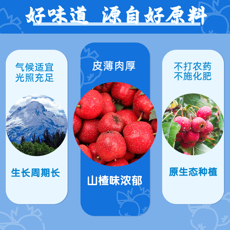 毕可欣山楂棒棒糖无添加宝宝山楂棒 毕可欣山楂类制品