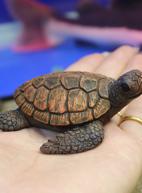 仿真小海龟装饰品摆件花园沙滩
