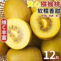 Sichuan Yellow Heart Exotic Fruits Fresh Pregnant Women Fruits Big Fruits when Ji Zhengzong Yellow Heart Exotic Fruit Whole Boxes 5 catties