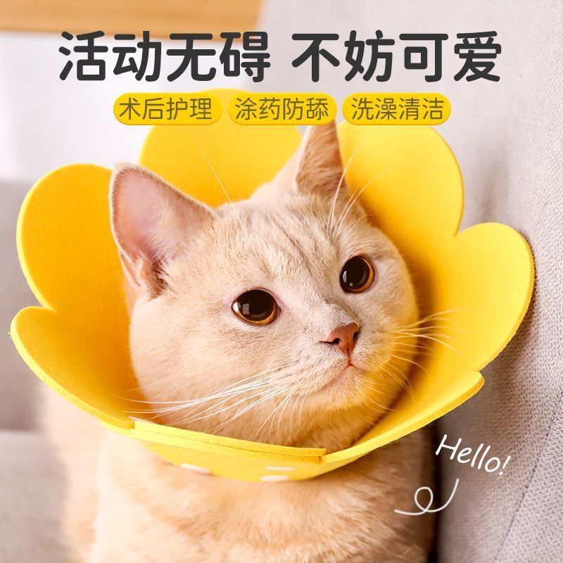 伊丽莎白项圈猫咪宠物狗毛毡太阳花按扣项圈防舔伤口防咬绝育脖圈-图0