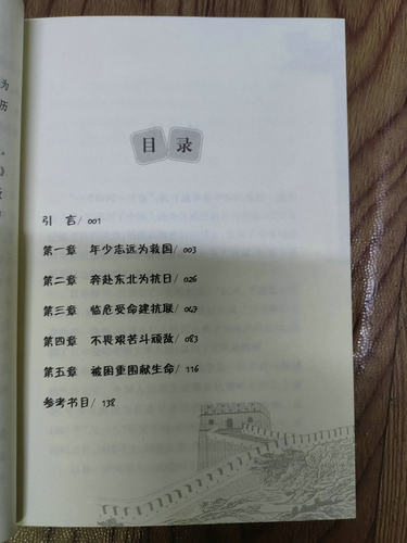 正版现货 抗联名将:杨靖宇/抵御外侮中华英豪传奇丛书小学三四五年级课外书必读经典书目六年级课外阅读书籍中国人物传记历史名人 - 图1