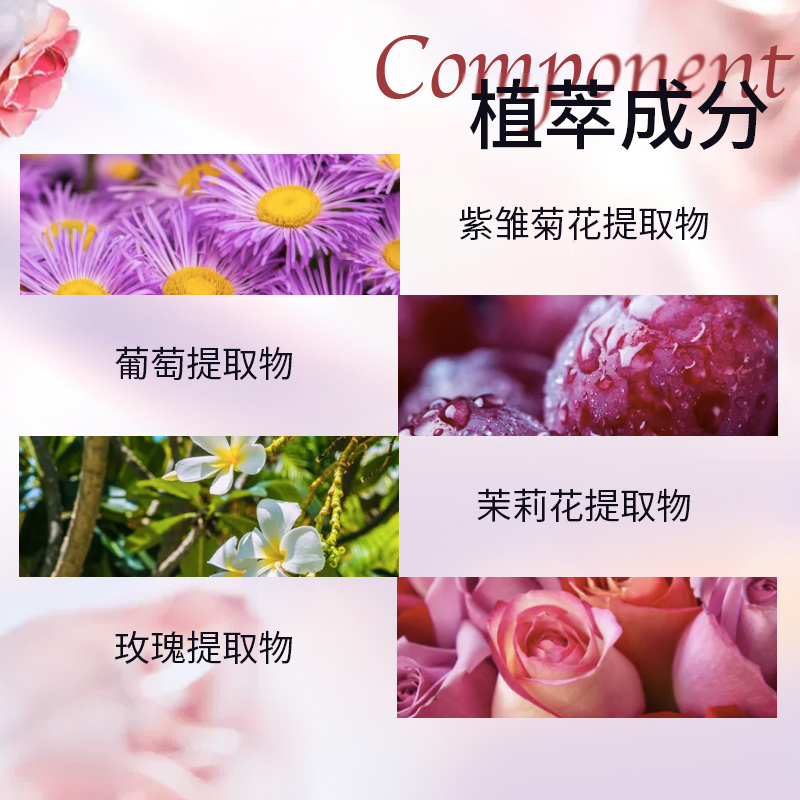 艾芙洛小雏菊洗发水控油丰盈蓬松去油去屑头皮深层清洁洗护套装