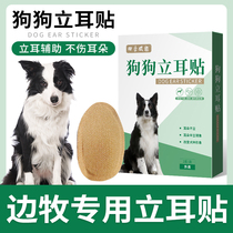 Side Pastoral Special Pet Pooch Lids Large Canine Small Dog Assisted Ear Correction Applier of the Ear God