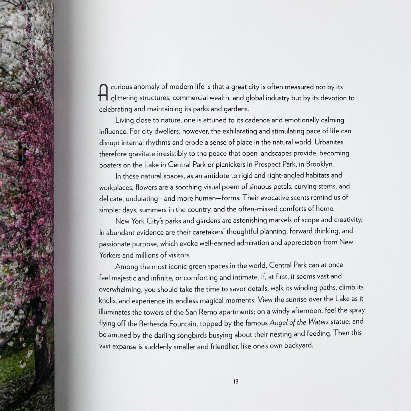 英文原版 New York in Bloom 盛放的的纽约 城市花卉之旅 旅游指南 精装摄影艺术图册 Georgianna Lane 英文版 进口英语原版书籍