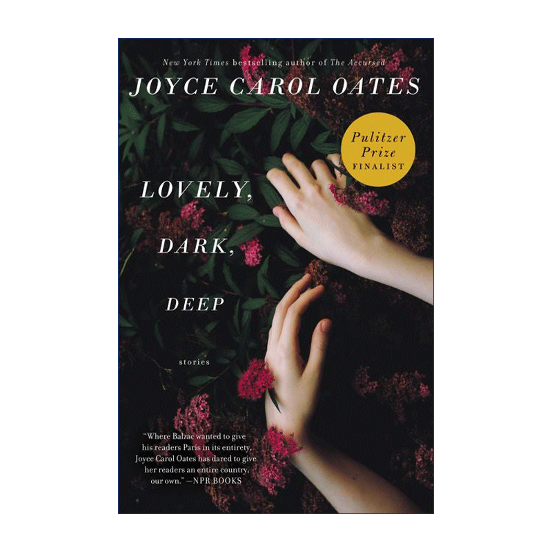 英文原版 Lovely Dark Deep 迷人的 昏暗的 幽深的 乔伊斯卡罗尔欧茨短篇小说集 英文版 进口英语原版书籍