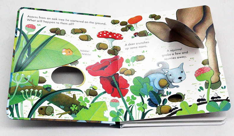 偷偷看里面系列6册 一棵树 英文原版 Usborne Peep Inside A Tree 尤斯伯恩 洞洞书 科普纸板翻翻书 儿童英语启蒙学习书籍 英文版