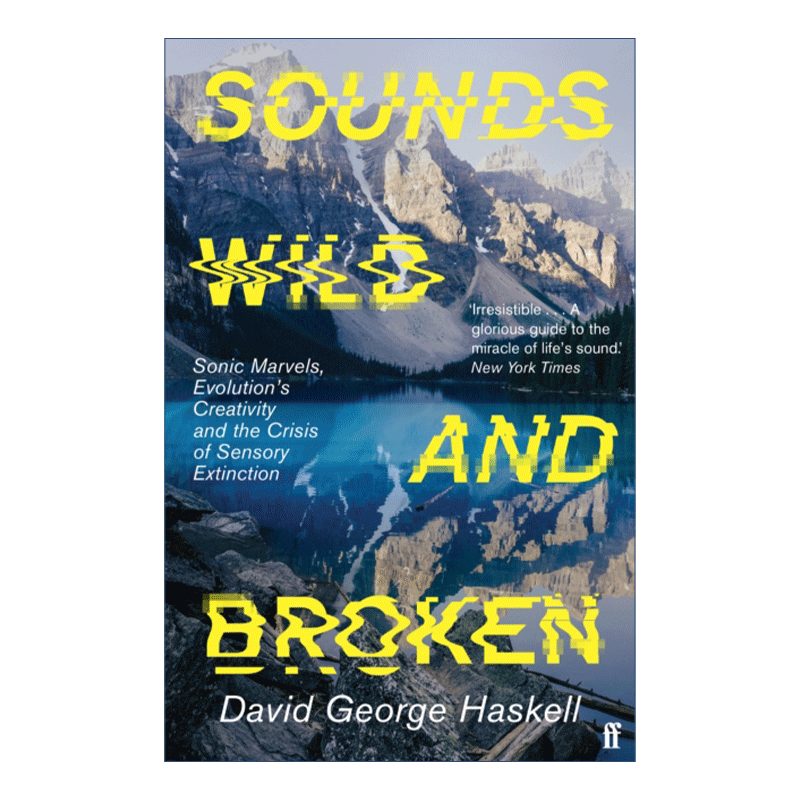 英文原版 Sounds Wild and Broken 荒野之声 地球音乐的繁盛和寂灭 戴维·乔治·哈斯凯尔 英文版 进口英语原版书籍