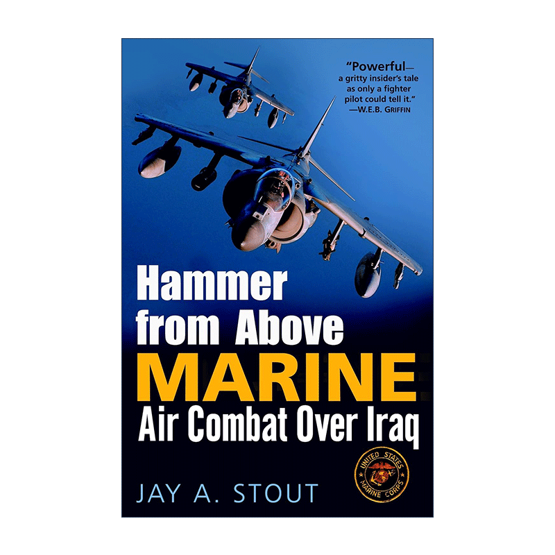英文原版 Hammer from Above 空中之锤 伊拉克上空的海上空战 历史 Jay A. Stout 英文版 进口英语原版书籍 - 图0
