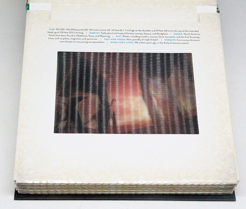 光与影视觉书系列 恐龙 3D立体动画书 英文原版绘本 Dinosaur A Photicular Book 动画效果翻翻书 英文版进口英语纽约时报畅销书 - 图1