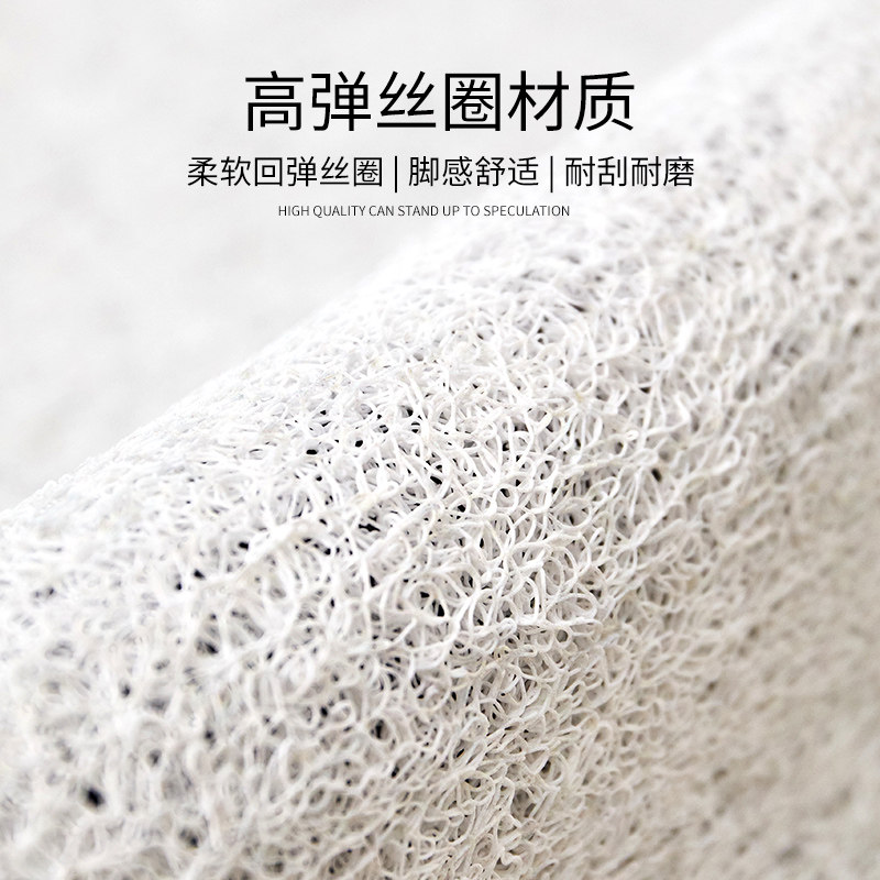 高品质入户门地垫丝圈蓝色进门口家用脚垫门外除尘垫防滑耐脏地毯,淘宝优惠券,粉丝福利购,淘宝优惠卷