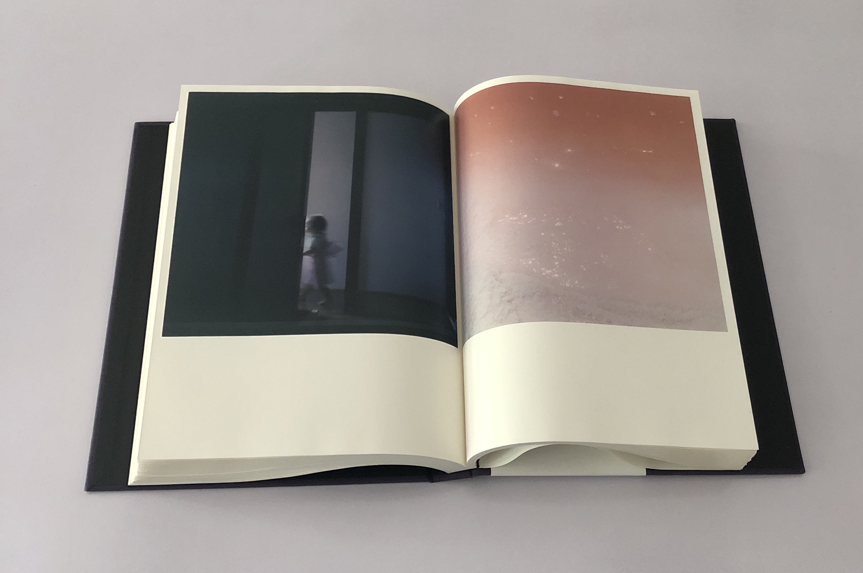 现货川内伦子:照度 Rinko Kawauchi：Illuminance 10周年纪念版 进口正版摄影图书 - 图1