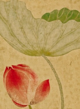 清 恽冰 蒲塘秋艳图纸本花卉国画装饰画高清微喷复制临摹学习范本