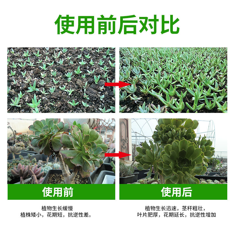 绿叶复活液浓缩营养液植物通用型果树通植树观叶水养水草水培生长-图0