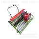 Hand-pushed six green vegetable spreader fragrant machine pineapple vegetable seeds yellow and white essence perilla on demand