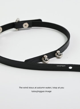 无聊了 脖子上戴个小铃铛！项圈