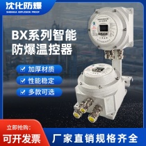 Intelligent explosion protection temperature controller explosion protection electric companion heat control box intelligent explosion-proof digital display instrument box companion tropical control box