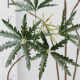 High-end simulated green plant peacock wood
