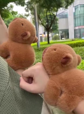 卡皮巴拉公仔毛绒玩具偶鼻涕水豚小乌龟皮吧啦抱枕土拔鼠可爱礼物