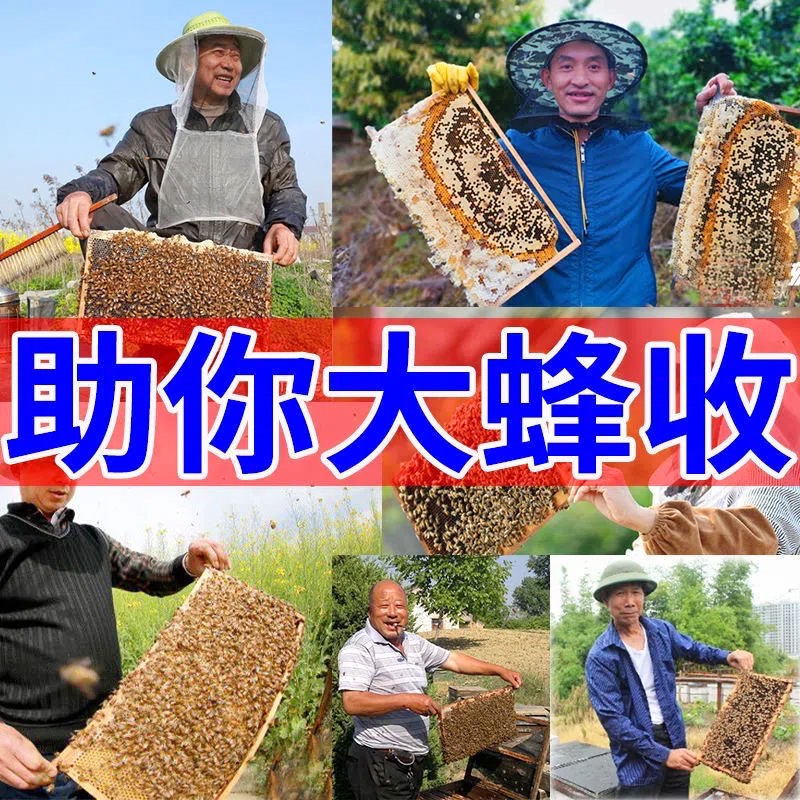 诱蜂膏神器蜂蜡诱蜜蜂野外用中土蜂新手养蜂专用工具神奇招引蜂水