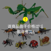 Open Wise Insect Building Blocks Male Girls Assembled Toys Puzzle Mantis Mantis Children Gift Models High 2023 New