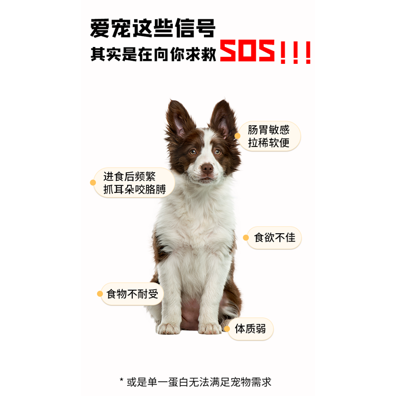 K9冻干狗粮成犬泰迪金毛小型犬中大型犬幼犬通用型旗舰店官方正品