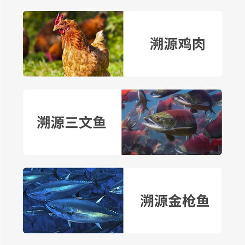喜宝狗粮成犬通用中小型泰迪柯基金毛博美比熊拉布拉多哈士奇3斤 - 图2