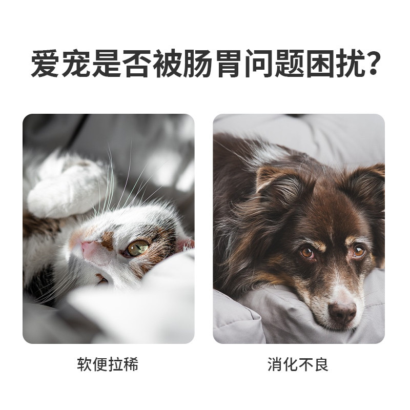 喜宝肠胃康宠物营养液补充剂猫狗营养膏100ml,淘宝优惠券,粉丝福利购,淘宝优惠卷