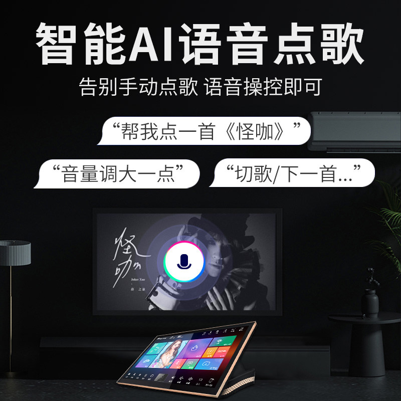 inandon /音王v90 max家庭点dsp inandon致享KTV/卡拉OK音箱