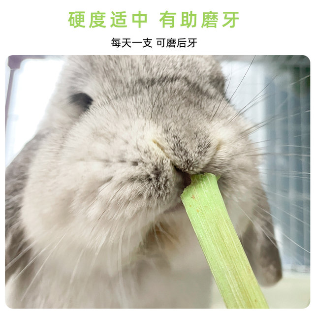 Natural papaya stems for pet teeth grinding and healthy teeth worry-free for little pets