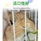 2026 Drying Wheatgrass Hay Rabbit Dragon