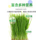 2026 Drying Wheatgrass Hay Rabbit Dragon