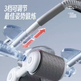 Пымян живот живот слепой слепой брюшной брюшной полость