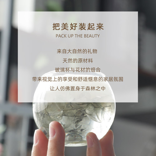 圣诞蜡烛烛台材料包玻璃香薰果冻蜡烛杯容器玻璃圆缸圣诞氛围摆件 - 图0
