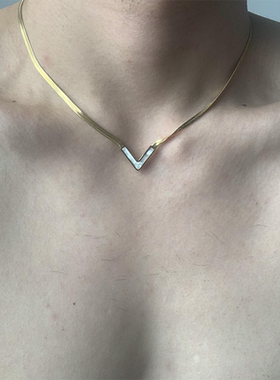 钛钢V字蛇骨项链男款锁骨链女