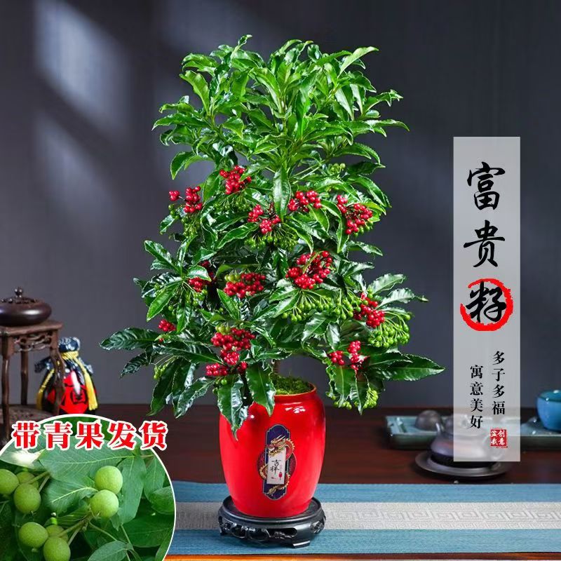 图4