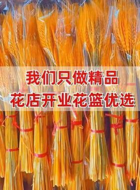 好货精品黄金麦穗干花天然大麦套袋干花风格黄金大麦厂家批发清仓