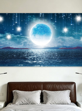 星空贴纸自粘贴画卧室吊顶壁画纸