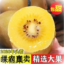 Sichuan Yellow Heart Chipagin 5 catties When season fresh fruit chic exotic fruits Burnt Peach non-red Heart Walnut Whole Box 10